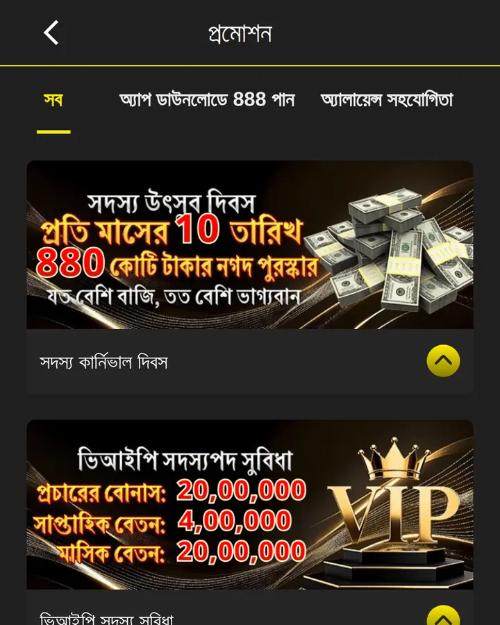 3333bet promotions page with Member Carnival Day and VIP benefits